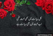 Love Quotes in Urdu Love Quotes in Urdu