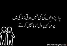 10 Best Friendship Poetry In Urdu