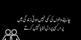 10 Best Friendship Poetry In Urdu