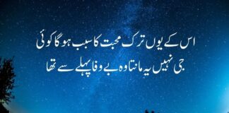 Sad Quotes About Life Sad quote about life