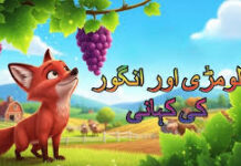 لومڑی اور انگور – بچوں کے لیے سبق آموز کہانی لومڑی اور انگور
