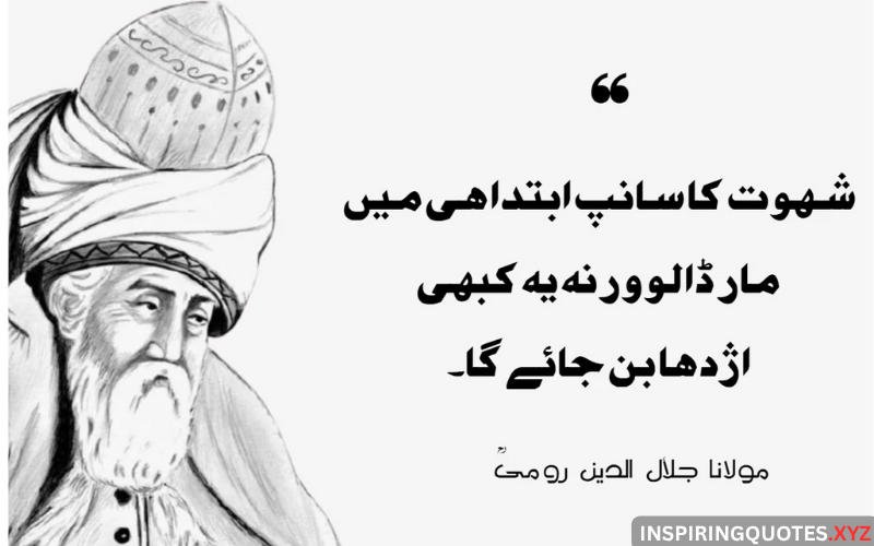 Rumi Quotes in Urdu