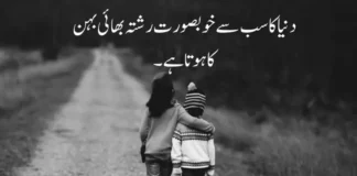 Top 30+ Sister Quotes in Urdu