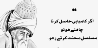 10+ Best Molana Jalaluddin Rumi Quotes in Urdu | Deep Urdu Quotes