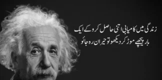 20+ Best Albert Einstein Quotes in Urdu Albert Einstein Quotes